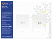 Стенд "Кванториум" с 2 карманами