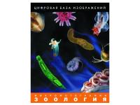 Зоология 1. Цифровая база изображений. Лицензия на 1 раб.место