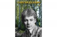 DVD Учебный фильм. Сергей Есенин