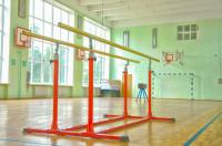 Брусья гимнастические параллельные